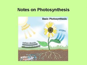Notes on Photosynthesis All living organisms require organic