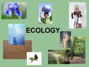 ECOLOGY Levels of Organization Biosphere Biome Ecosystem Community