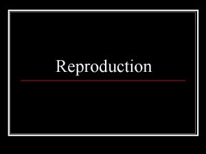 Reproduction Vocabulary Follicn Genesisn Germn Labin Mensn Pubern