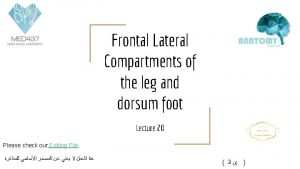 Frontal Lateral Compartments of the leg and dorsum