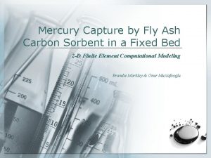 Mercury Capture by Fly Ash Carbon Sorbent in