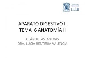 APARATO DIGESTIVO II TEMA 6 ANATOMA II GLNDULAS