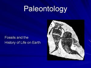 Paleontology Fossils and the History of Life on