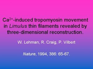 Ca 2induced tropomyosin movement in Limulus thin filaments