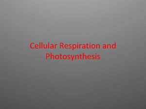 Cellular Respiration and Photosynthesis Adenosine Triphosphate ATP One