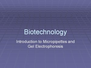 Biotechnology Introduction to Micropipettes and Gel Electrophoresis Standards