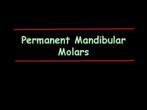 Permanent Mandibular Molars Introduction Larger than the premolars