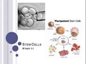 STEM CELLS IB topic 2 1 MULTICELLULAR ORGANISMS