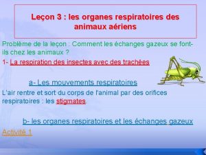 Leon 3 les organes respiratoires des animaux ariens