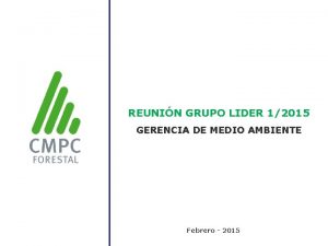 REUNIN GRUPO LIDER 12015 GERENCIA DE MEDIO AMBIENTE