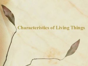 Characteristics of Living Things Life Functions The processes