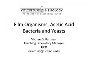 Film Organisms Acetic Acid Bacteria and Yeasts Michael