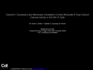 Caveolin1 Expression and Membrane Cholesterol Content Modulate NType