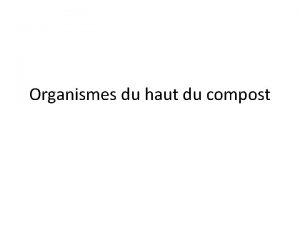 Organismes du haut du compost HAUT DU COMPOST