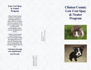 LowCost Spay Neuter Program Clinton County Low Cost