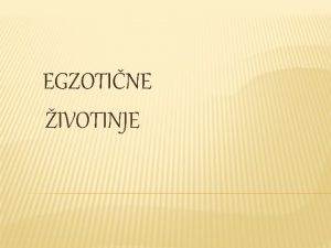 EGZOTINE IVOTINJE TO SU EGZOTINE IVOTINJE Svake godine