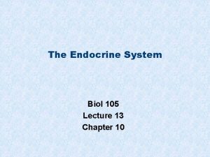 The Endocrine System Biol 105 Lecture 13 Chapter