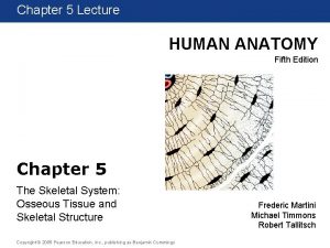 Chapter 1 5 Lecture HUMAN ANATOMY Fifth Edition