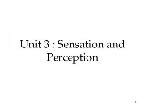 Unit 3 Sensation and Perception 1 Sensation Perception