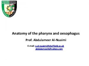 Anatomy of the pharynx and oesophagus Prof Abdulameer