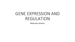 GENE EXPRESSION AND REGULATION Molecular Genetics GENES Genes