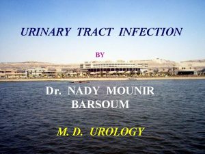 URINARY TRACT INFECTION BY Dr NADY MOUNIR BARSOUM