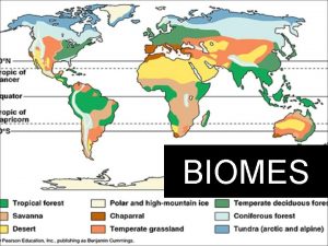 BIOMES What determines a terrestrial biome Climate Temperature