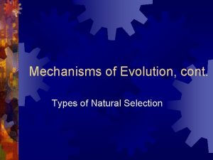 Mechanisms of Evolution cont Types of Natural Selection