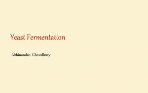 Yeast Fermentation Abhinandan Chowdhury What is Yeast Its