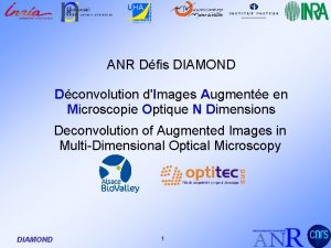 ANR Dfis DIAMOND Dconvolution dImages Augmente en Microscopie