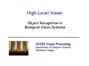 HighLevel Vision Object Recognition in Biological Vision Systems