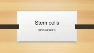 Stem cells Karen and Caralyn Our research https