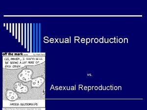 Sexual Reproduction vs Asexual Reproduction Gametogenesis o Spermatogenesis