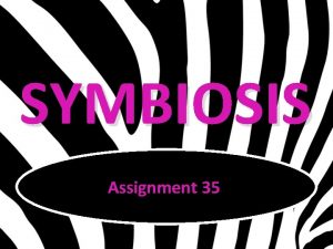 SYMBIOSIS Assignment 35 Definition Symbiosis A longterm interactive