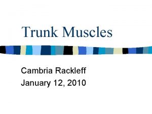 Trunk Muscles Cambria Rackleff January 12 2010 Anterior
