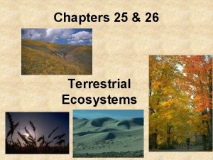 Chapters 25 26 Terrestrial Ecosystems Tree dominated ecosystems