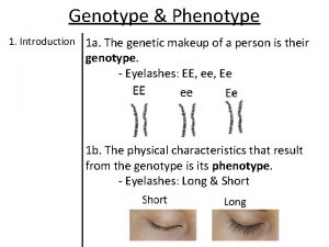 Genotype Phenotype 1 Introduction 1 a The genetic