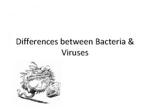 Differences between Bacteria Viruses What is bacteria Bacteria