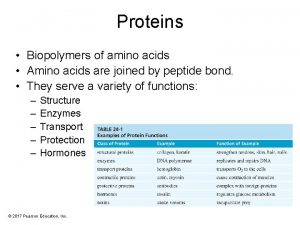 Proteins Biopolymers of amino acids Amino acids are