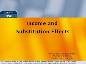 Income and Substitution Effects Power Point Slides prepared