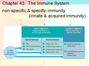 Chapter 43 The Immune System nonspecific specific immunity