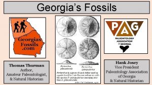 Georgias Fossils Thomas Thurman Author Amateur Paleontologist Natural