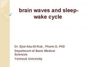 brain waves and sleepwake cycle Dr Ejlal AbuElRub