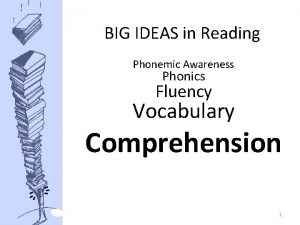 BIG IDEAS in Reading Phonemic Awareness Phonics Fluency