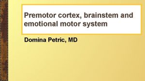 Premotor cortex brainstem and emotional motor system Domina