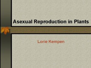 Asexual Reproduction in Plants Lorie Kempen Asexual Reproduction