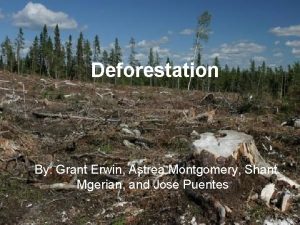 Deforestation By Grant Erwin Astrea Montgomery Shant Mgerian