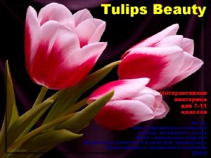 A tulip doesnt strive to impress anyone It