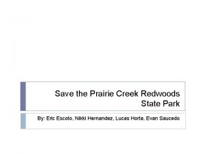 Save the Prairie Creek Redwoods State Park By