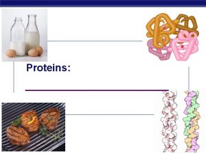 Proteins Regents Biology 2006 2007 Proteins Examples u